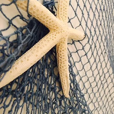 Il Corallo Marettimo